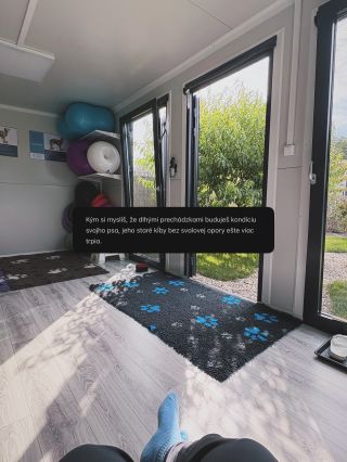 ✨ Kým si myslíme, že psovi pomáhame, často mu v skutočnosti škodíme. Dlhé prechádzky bez svalovej prípravy, ignorovanie...