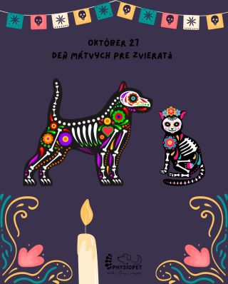 🖤V Mexiku majú domáci miláčikovia svoj vlastný Deň mŕtvych. 🖤🐾 Mexičania veria, že 27. októbra, teda dnes, sa duše ich...