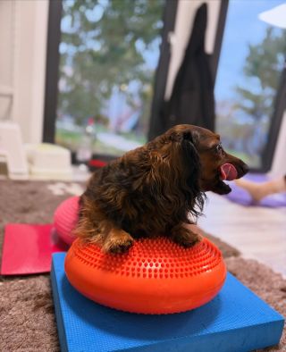 Dá sa oddychovať na fitloptách? Dá 😁 aneb keď si až príliš unavená spraviť krok vpred 😂