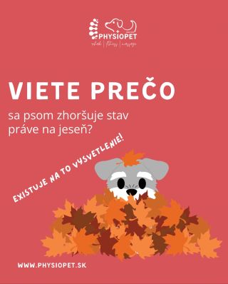 Každý rok to pozorujem znova. Pes, ktorý cez leto behal bez problémov, sa na jeseň začne hýbať menej, viac odpočíva… a v...