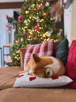 Kamoši, blížia sa nám sviatky, ten čas sa pomaly ale isto spomaľuje a ja som sa rozhodla, že sa vám takto prihovorím 😊....