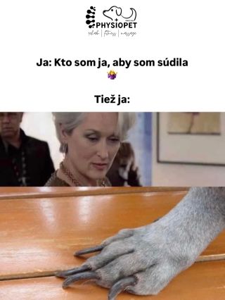 Dlhé pazúry u psa nie sú len „kozmetická vada“. To je ako keby si ty chodila v topánkach s príliš dlhými nechtami… každý...