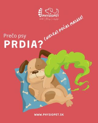 💨 Áno, psy počas masáže občas prdia. A nie, nie je to hanba ani „zlé trávenie“ 😂 Masáž aktivuje parasympatický nervový...