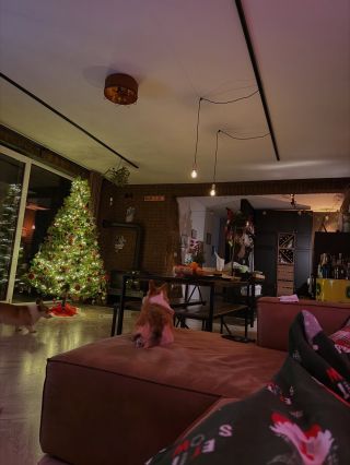 Je tu dosť ticho celé sviatky, viem. Chrípka ma položila doslova na hubu a neviem sa z nej vôbec spamätať. Termíny som...